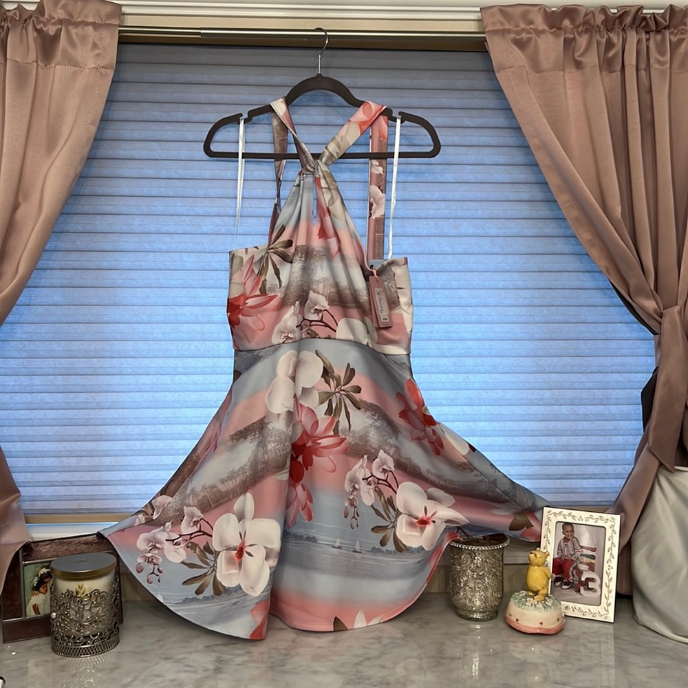 Ted Baker London Dress size 4